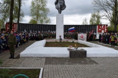 Празднование Дня Победы в Великой Отечественной войне - 46