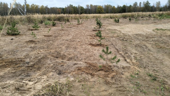 fbkbx8awys8h6e1yuohlgehc5