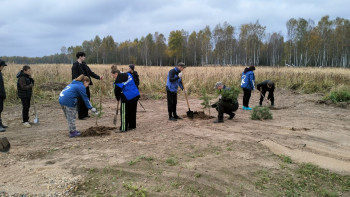 gln-97lvzqoxv_ku9c_kt-cua