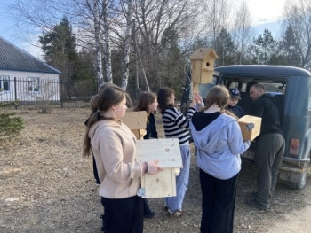 imsspxfn2e6-cu8q5oz64yq8s