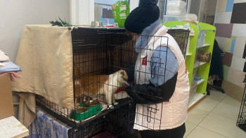 jwjz_amgdthbwwnr5xrm14m5w