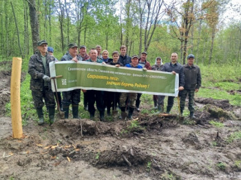 lkkwzwlyomm5_xdlwnw3nzx5w