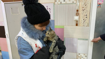 oychr99ubek3_cpsn6zlhbmpu