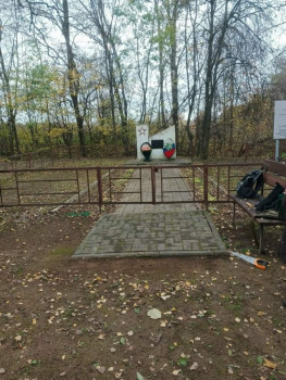 oz-smd1mzbtosicefafdnpkmp