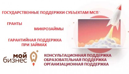 государственная поддержка субъектам МСП - фото - 1