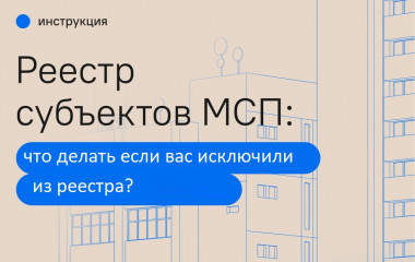субъект малого и среднего предпринимательства исключен из реестра, что делать - фото - 1