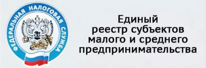 памятки о едином реестре МСП - фото - 1