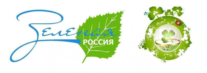 экологический субботник "Зеленая Россия" - фото - 1