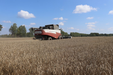 в Глинковском округе уборка урожая завершена - фото - 1