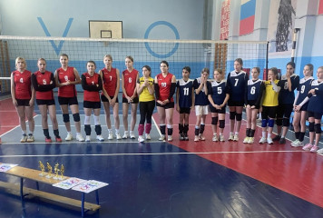 товарищеская встреча по волейболу - фото - 1