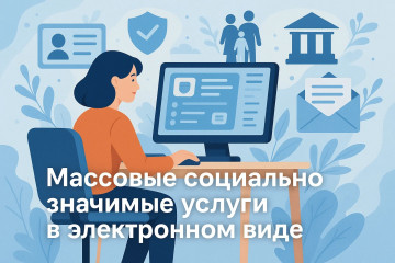 массовые социально значимые услуги в электронном виде - фото - 1
