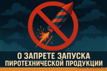 напоминаем: о запрете запуска пиротехнической продукции - фото - 1