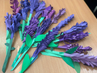 всероссийская акция «Крымская лаванда» - фото - 1