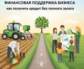 финансовая поддержка бизнеса: как получить кредит без полного залога - фото - 1