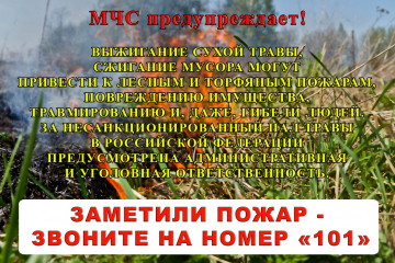 главное управление МЧС России по Смоленской области информирует - фото - 1