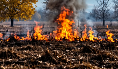 вниманию жителей Глинковского округа - фото - 1