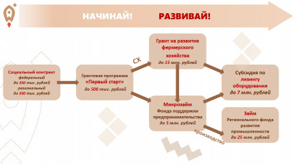 навигатор по мерам поддержки: от идеи до масштабного бизнеса - фото - 1